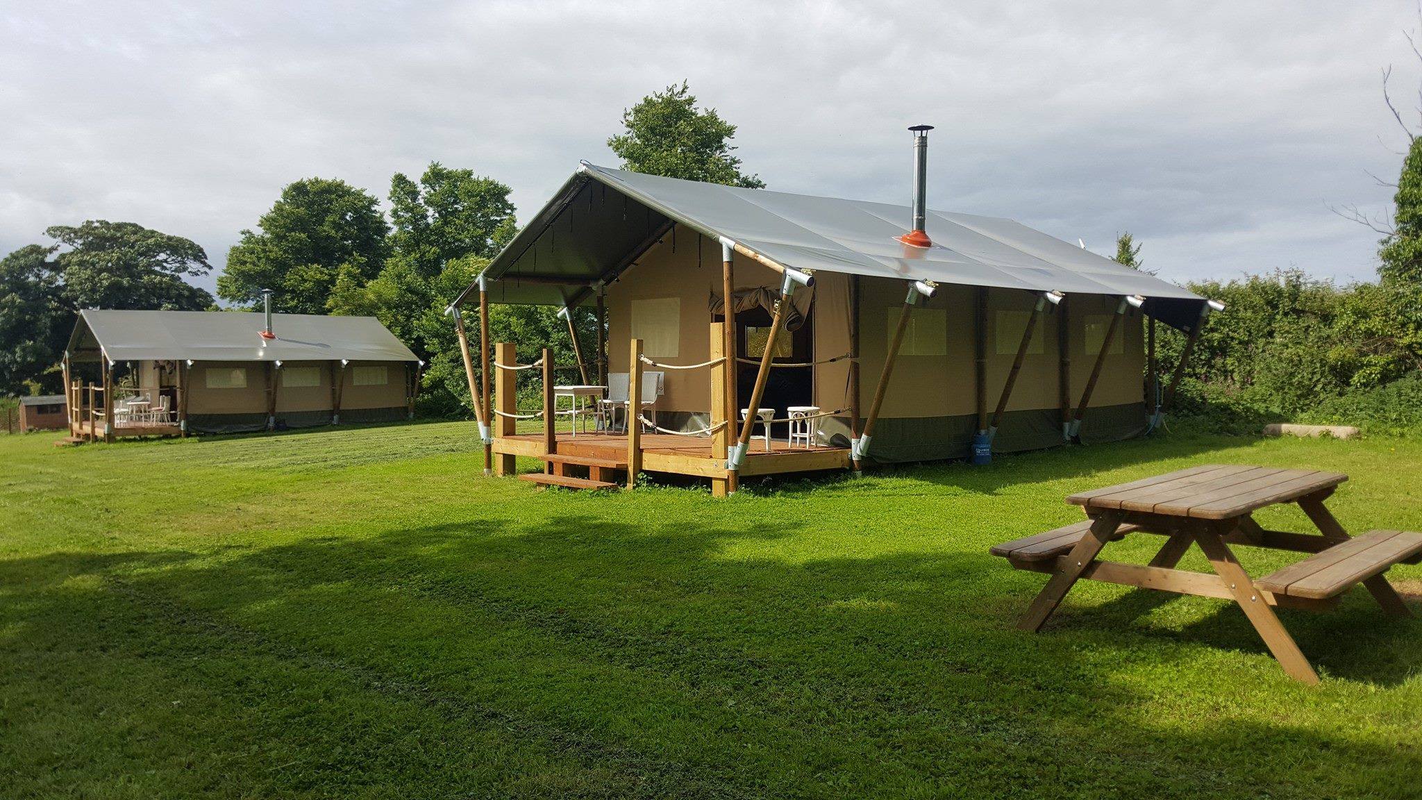safari tents cornwall
